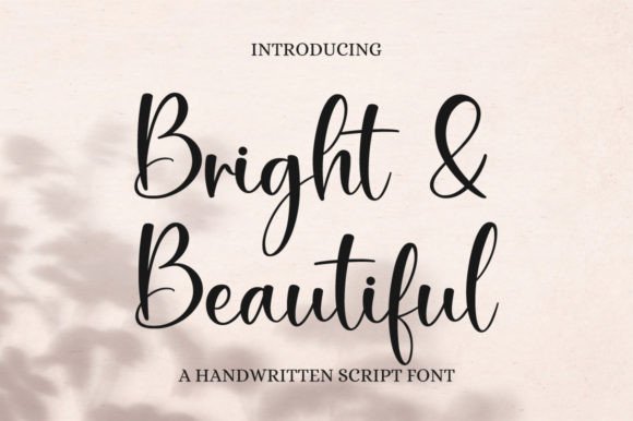Bright Beautiful Font: Elegant Script for Designers