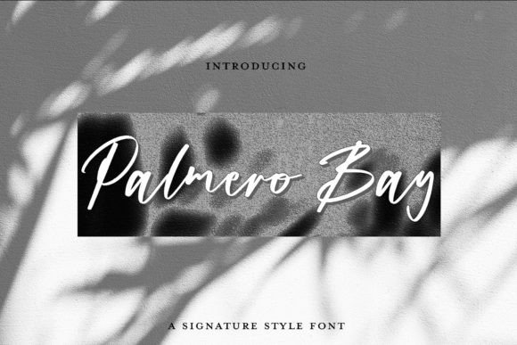 Palmero Bay: The Elegant Script Font for Modern Brands