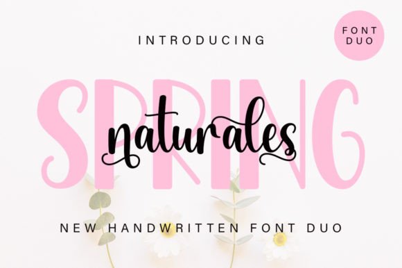 Spring Naturales Duo Typeface for Campaigns